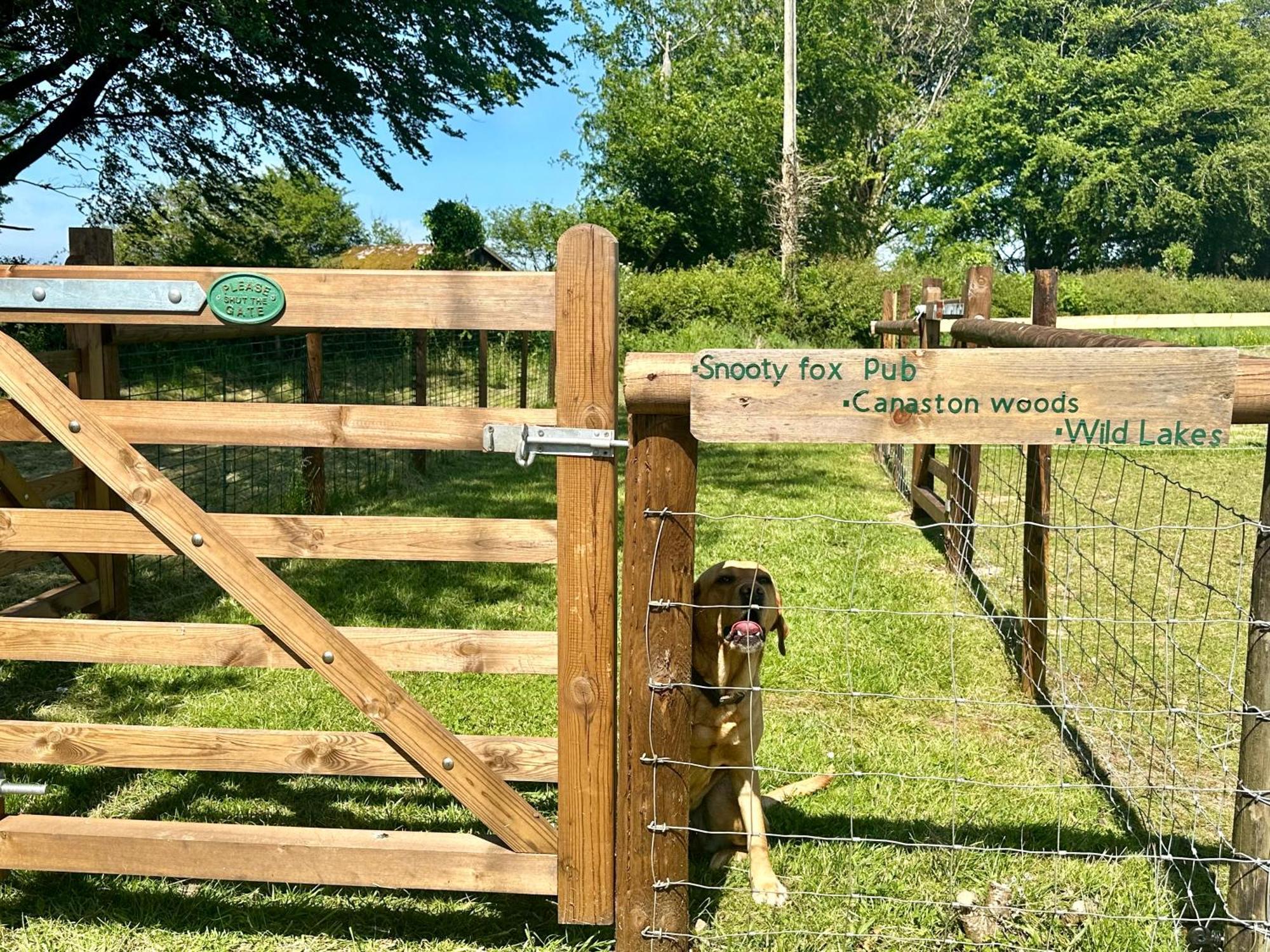 Apartmán Pheasants Nook Narberth Exteriér fotografie